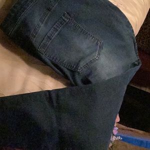 NWOT DG2 Skinny pants, blue with shading on pocket/knees 2X